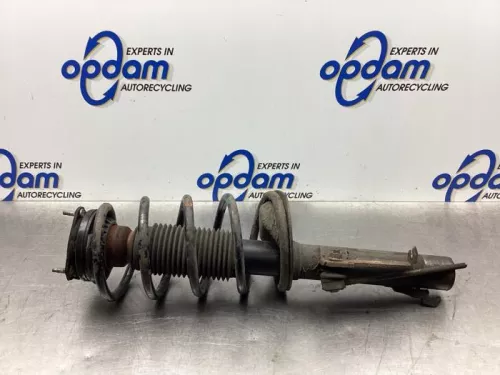 Schokdemperpoot rechts-voor-7576143