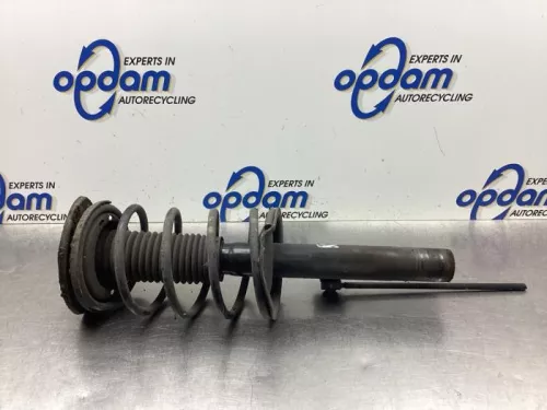 Schokdemperpoot rechts-voor-8053818