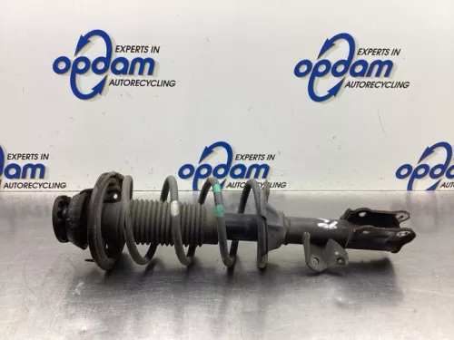 Schokdemperpoot rechts-voor-8035422