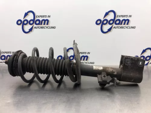 Schokdemperpoot rechts-voor-8040612