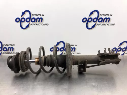 Schokdemperpoot rechts-voor-8216792