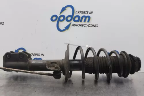 Schokdemperpoot rechts-voor-7878164