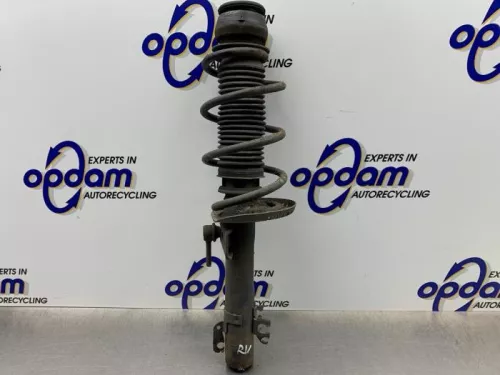 Schokdemperpoot rechts-voor-8292828