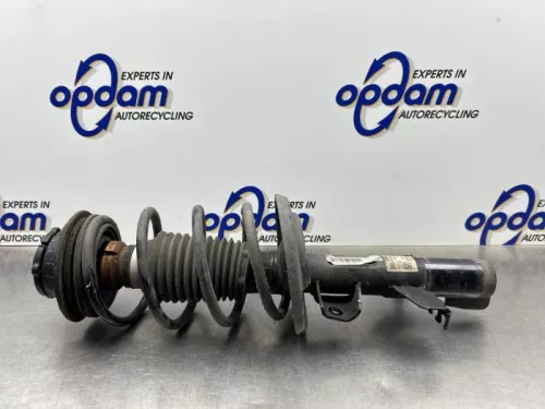 Schokdemperpoot rechts-voor-8271688