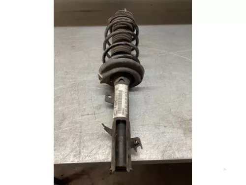 Schokdemperpoot rechts-voor-7037071