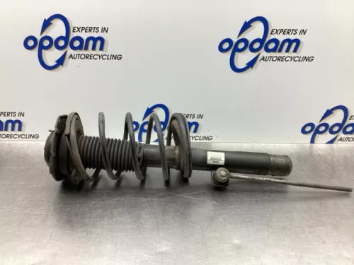 Schokdemperpoot rechts-voor-7938518