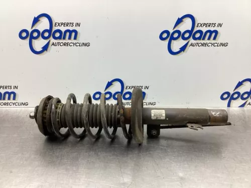 Schokdemperpoot rechts-voor-7934658