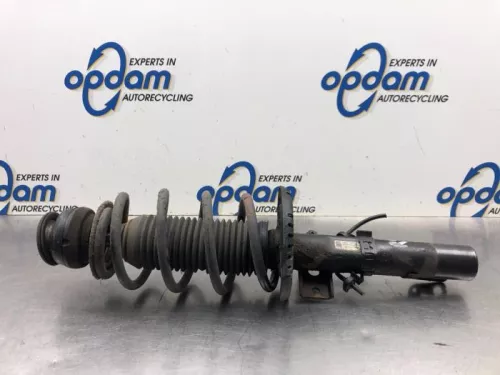 Schokdemperpoot rechts-voor-8115766