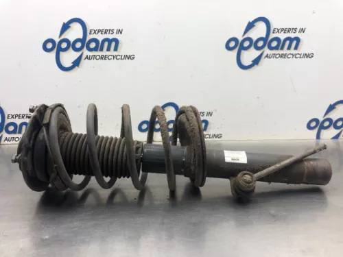 Schokdemperpoot rechts-voor-8136466