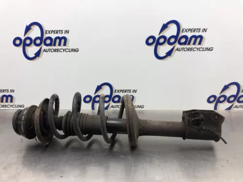 Schokdemperpoot rechts-voor-8060048