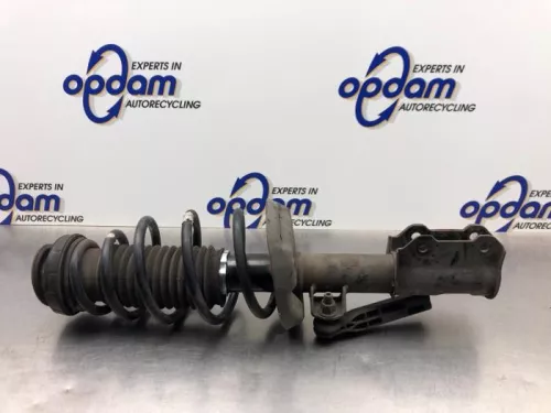 Schokdemperpoot rechts-voor-8212466