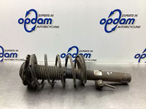 Schokdemperpoot rechts-voor-7875970