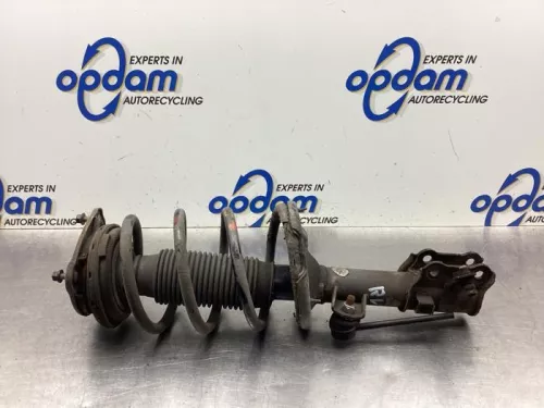 Schokdemperpoot rechts-voor-8097556