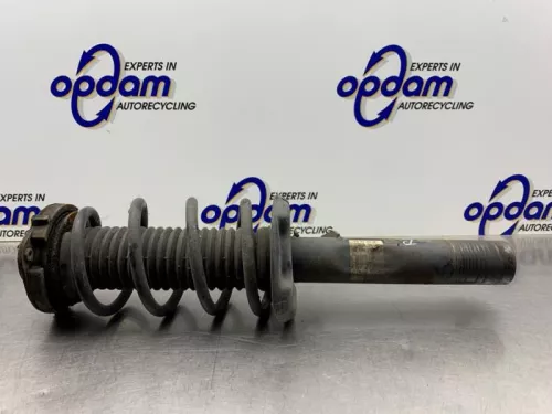 Schokdemperpoot rechts-voor-8191592