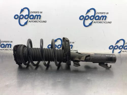 Schokdemperpoot rechts-voor-7864942