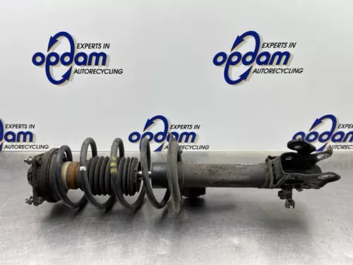 Schokdemperpoot rechts-voor-8290902