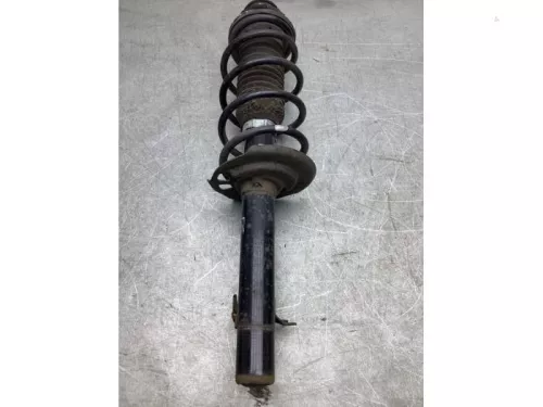 Schokdemperpoot rechts-voor-8080672