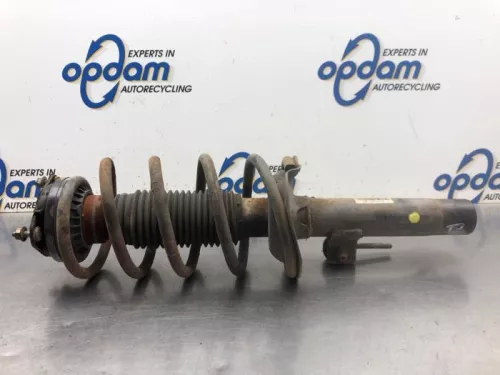 Schokdemperpoot rechts-voor-8174642