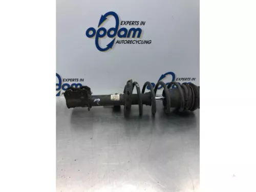 Schokdemperpoot rechts-voor-7868599