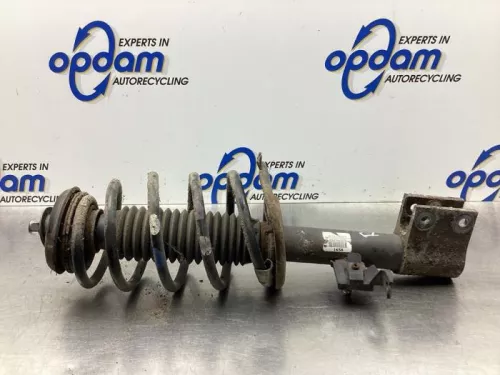 Schokdemperpoot rechts-voor-6093654