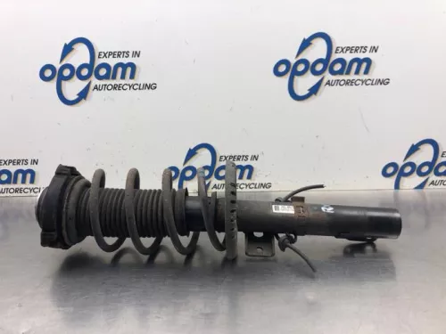 Schokdemperpoot rechts-voor-7991141