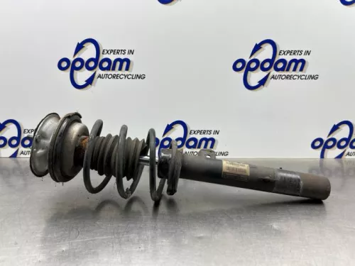 Schokdemperpoot rechts-voor-8221220
