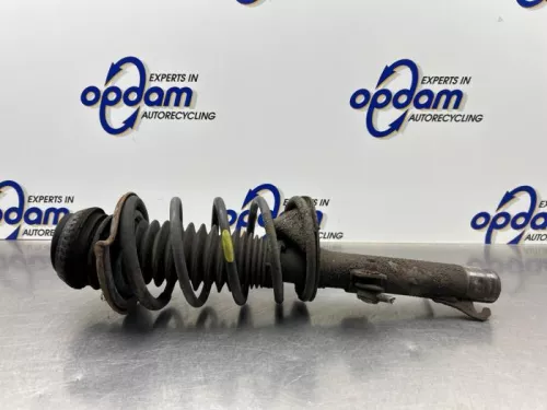 Schokdemperpoot rechts-voor-8304595
