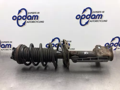 Schokdemperpoot rechts-voor-8173620