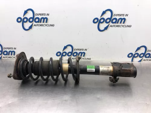 Schokdemperpoot rechts-voor-8047284