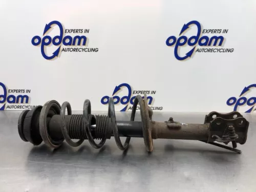 Schokdemperpoot rechts-voor-8169145