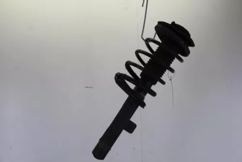 Schokdemperpoot rechts-voor-7885420