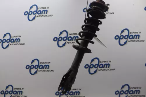 Schokdemperpoot rechts-voor-7880977