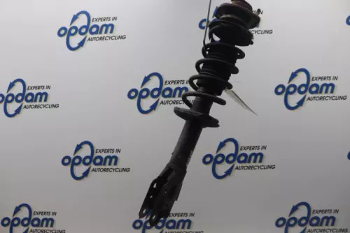 Schokdemperpoot rechts-voor-7877600