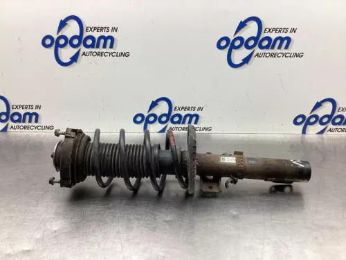 Schokdemperpoot rechts-voor-8065654