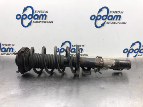 Schokdemperpoot rechts-voor-8123335