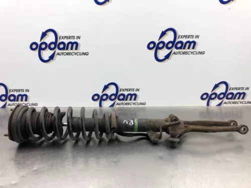 Schokdemperpoot rechts-voor-8203499