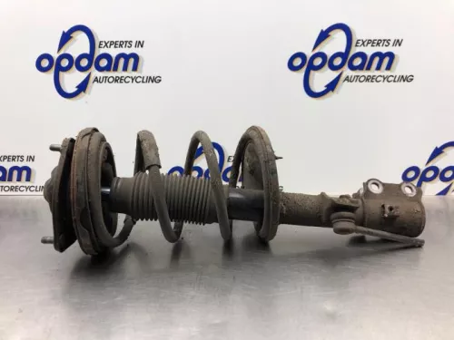 Schokdemperpoot rechts-voor-8217675