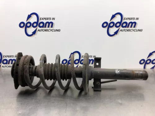 Schokdemperpoot rechts-voor-8243020