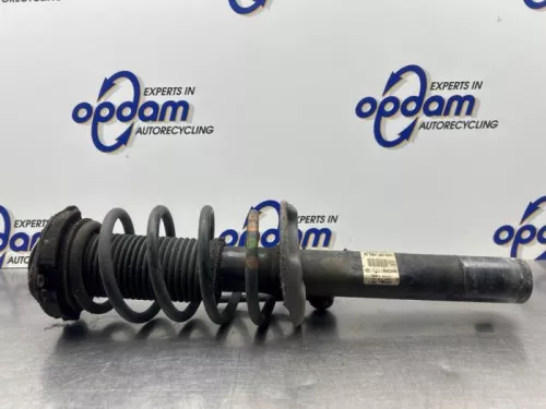 Schokdemperpoot rechts-voor-8072354