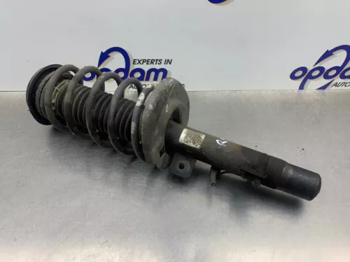 Schokdemperpoot rechts-voor-8315406