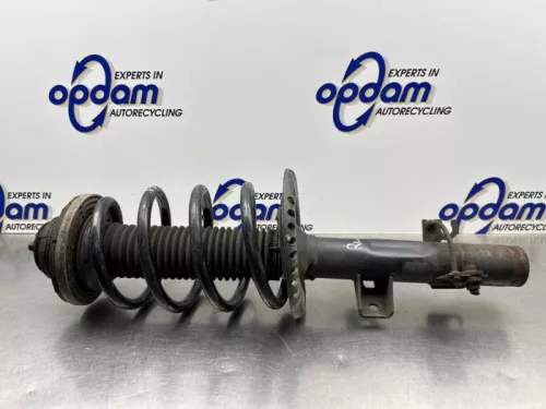 Schokdemperpoot rechts-voor-8266133