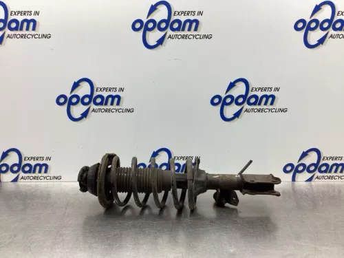 Schokdemperpoot rechts-voor-7848229