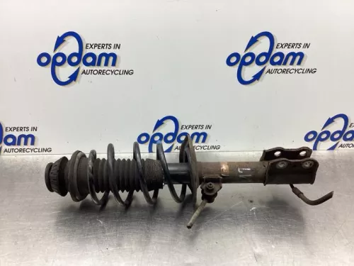 Schokdemperpoot rechts-voor-7923551