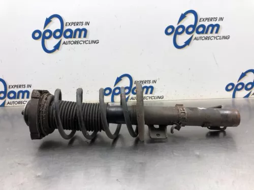 Schokdemperpoot rechts-voor-8174411