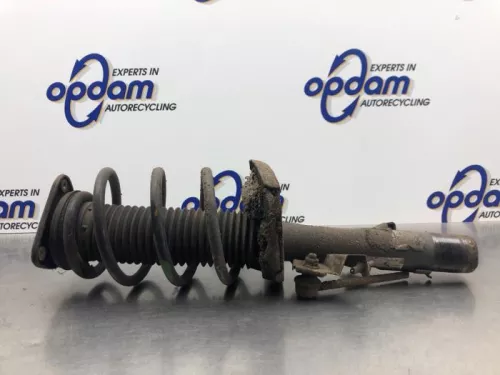 Schokdemperpoot rechts-voor-8173597