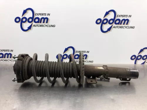 Schokdemperpoot rechts-voor-8203674