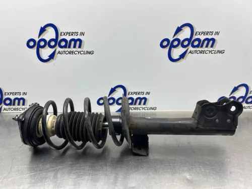 Schokdemperpoot rechts-voor-8294315