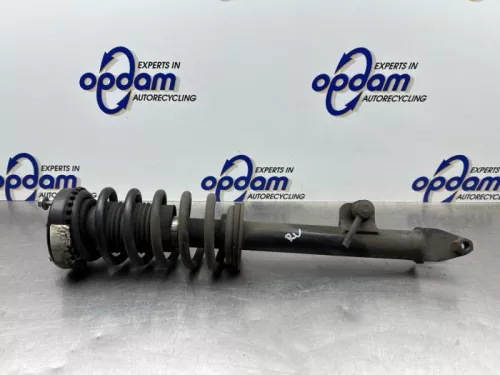 Schokdemperpoot rechts-voor-8301318