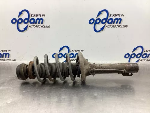 Schokdemperpoot rechts-voor-8071430