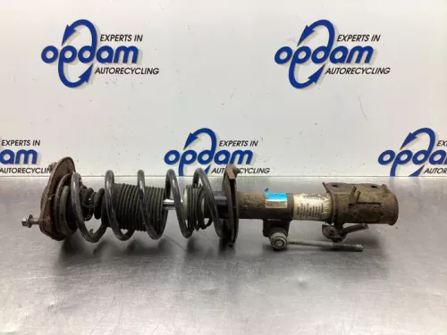 Schokdemperpoot rechts-voor-7931754